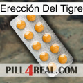 Erección Del Tigre levitra1